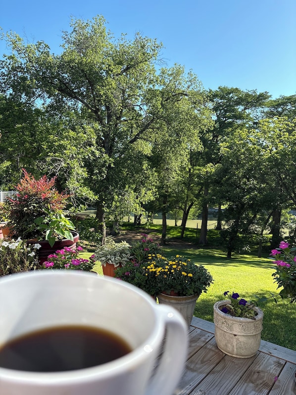 Property grounds - River front! We Have Water! Summer fun. Family friendly. (McQueeney)