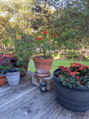 Áreas de la propiedad