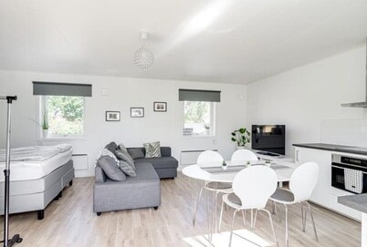Modern Great Stay Guest House - Studio (two beds)