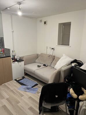 Living area - Studio apartment (Brislington)