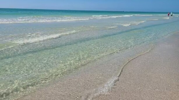 Ein Strand mit klarem Wasser und sandigem Ufer.