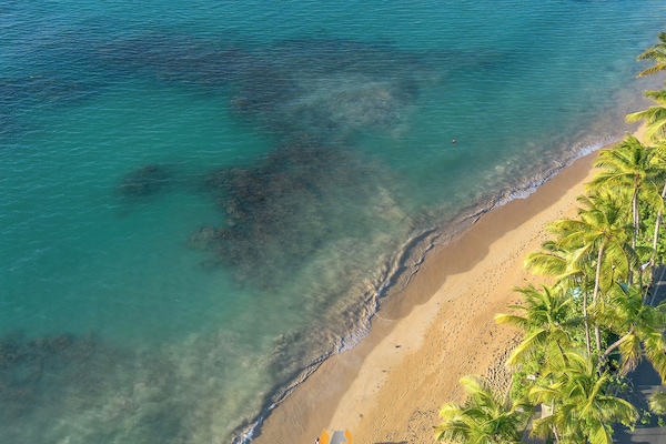 Accommodatie ligt op het strand