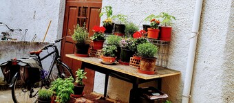 Apartment Emilie + Parking Historic City Center