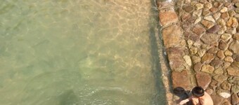 Nanxi Longevity Flower Farmer Stay Inn