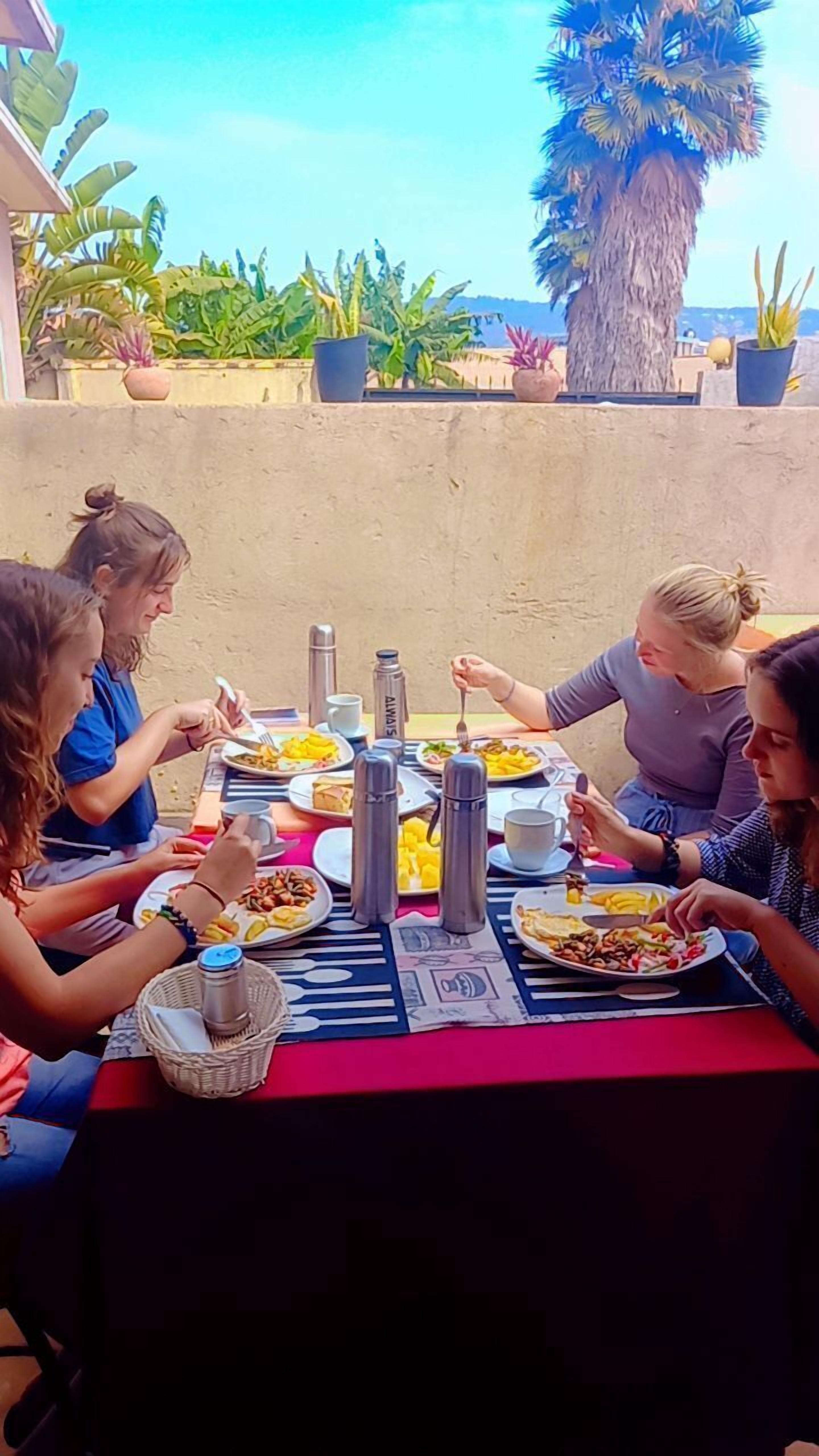 Un grupo de personas cenando al aire libre en una mesa con varios platos, rodeado de macetas y una palmera.