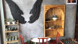 A room with a large wall-mounted wing sculpture, a wooden shelving unit with plants, a round table with chairs, and a foosball table. - 37 Degree Grey Homestay in Wenzhou (Wenzhou)