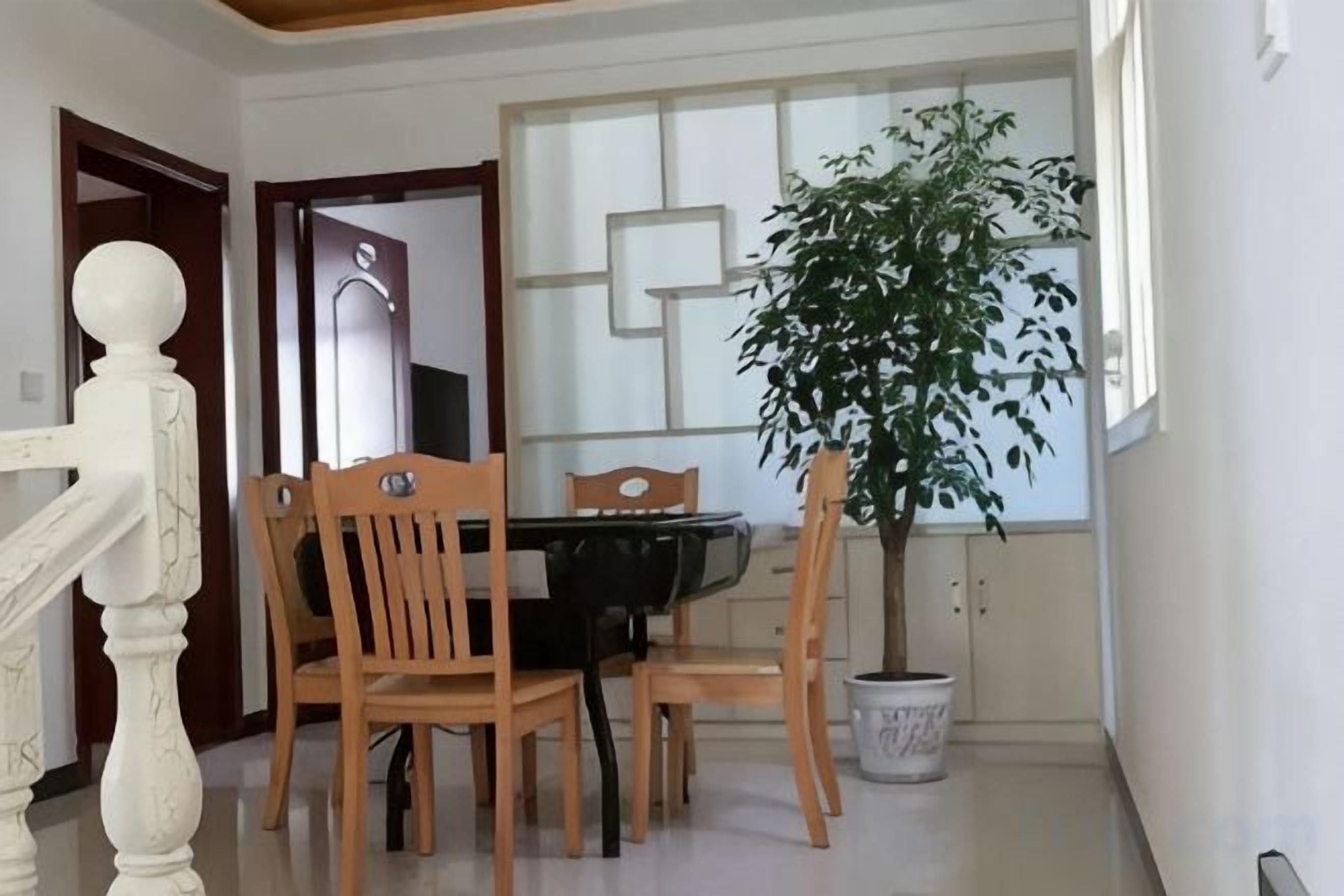 Un espace repas comprenant une table, des chaises et une plante en pot.