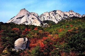 미분류 이미지, 5/57장, 버튼