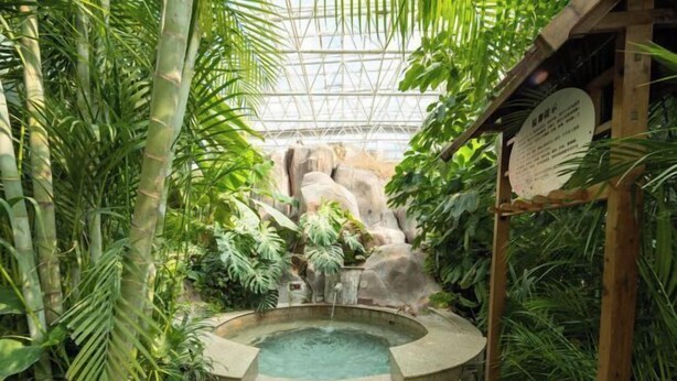 Een weelderige binnentuin met een centraal waterpartij, omringd door dichte begroeiing en een glazen dakconstructie.