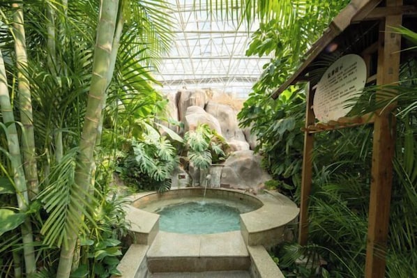Pool - Beijing Jinyu Fengshan Hotspring Resort (Beijing)