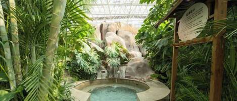 Ein tropischer Innenbereichsgarten mit Whirlpool, Bambus und Wasserfall.