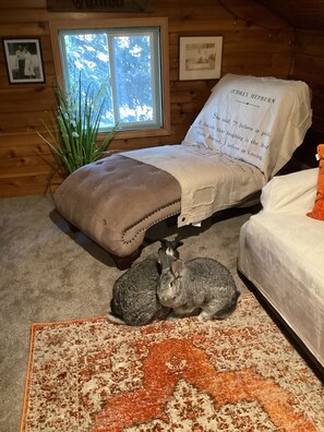 3 chambres, accès à Internet, literie fournie