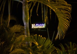 View from property - Libelula Hotel (Tambopata)