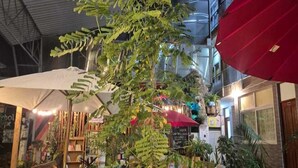 Un vaste atrium intérieur agrémenté d’une plante centrale, entouré de différents espaces de détente et de plantes en pot.