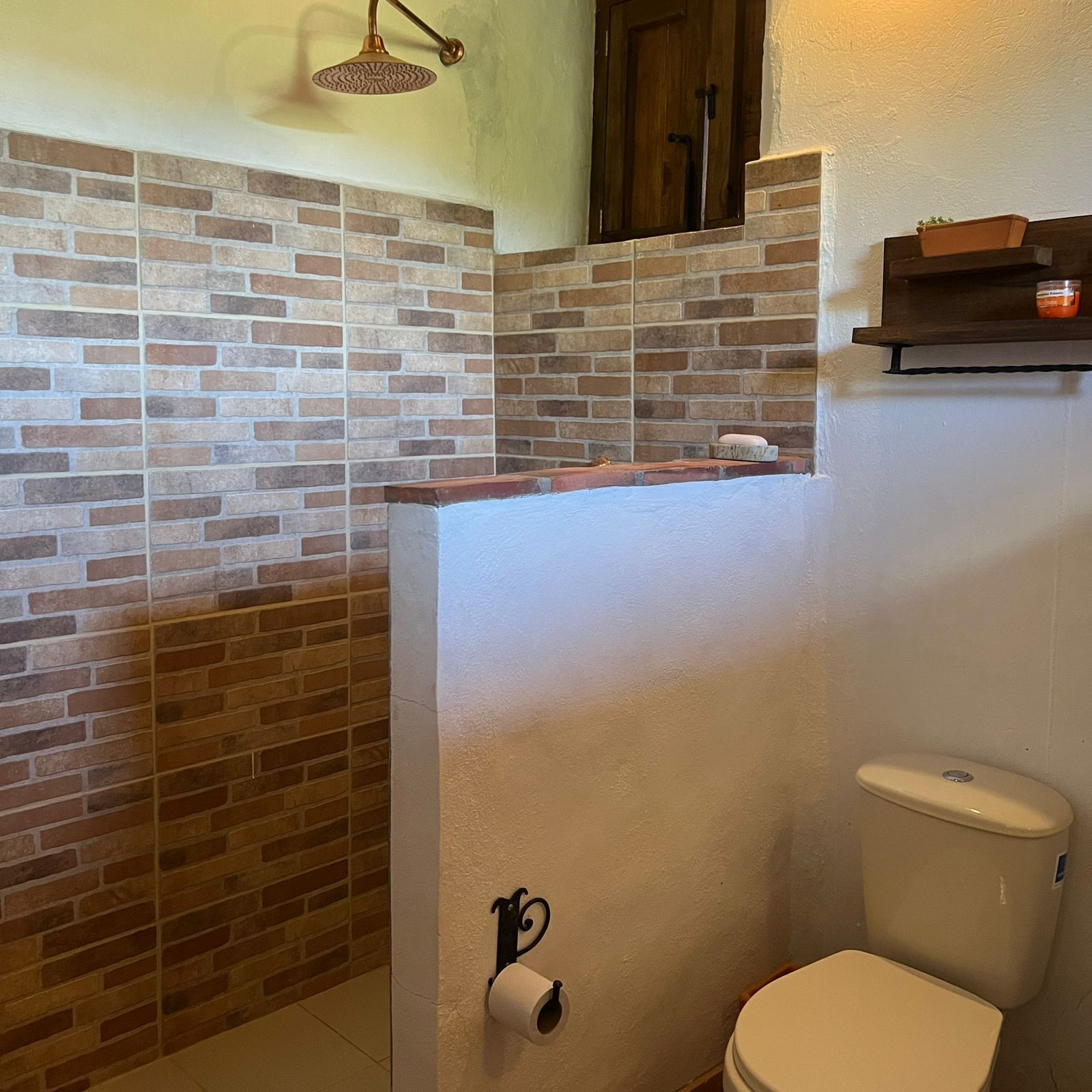 A bathroom with a shower enclosure, a toilet, and a shelf with toiletries.