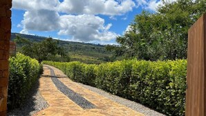A stone pathway leading through a lush garden with a wooden pergola overhead. - CASA MORANESI (Caucasia)