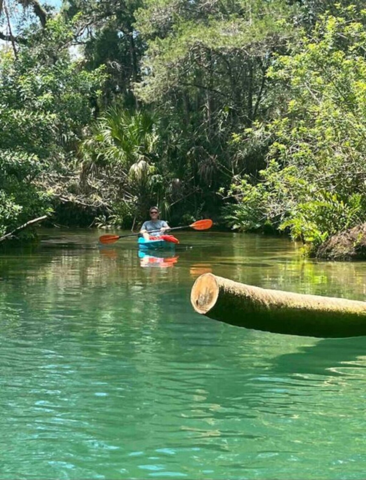 Foto de perfil del anfitrión