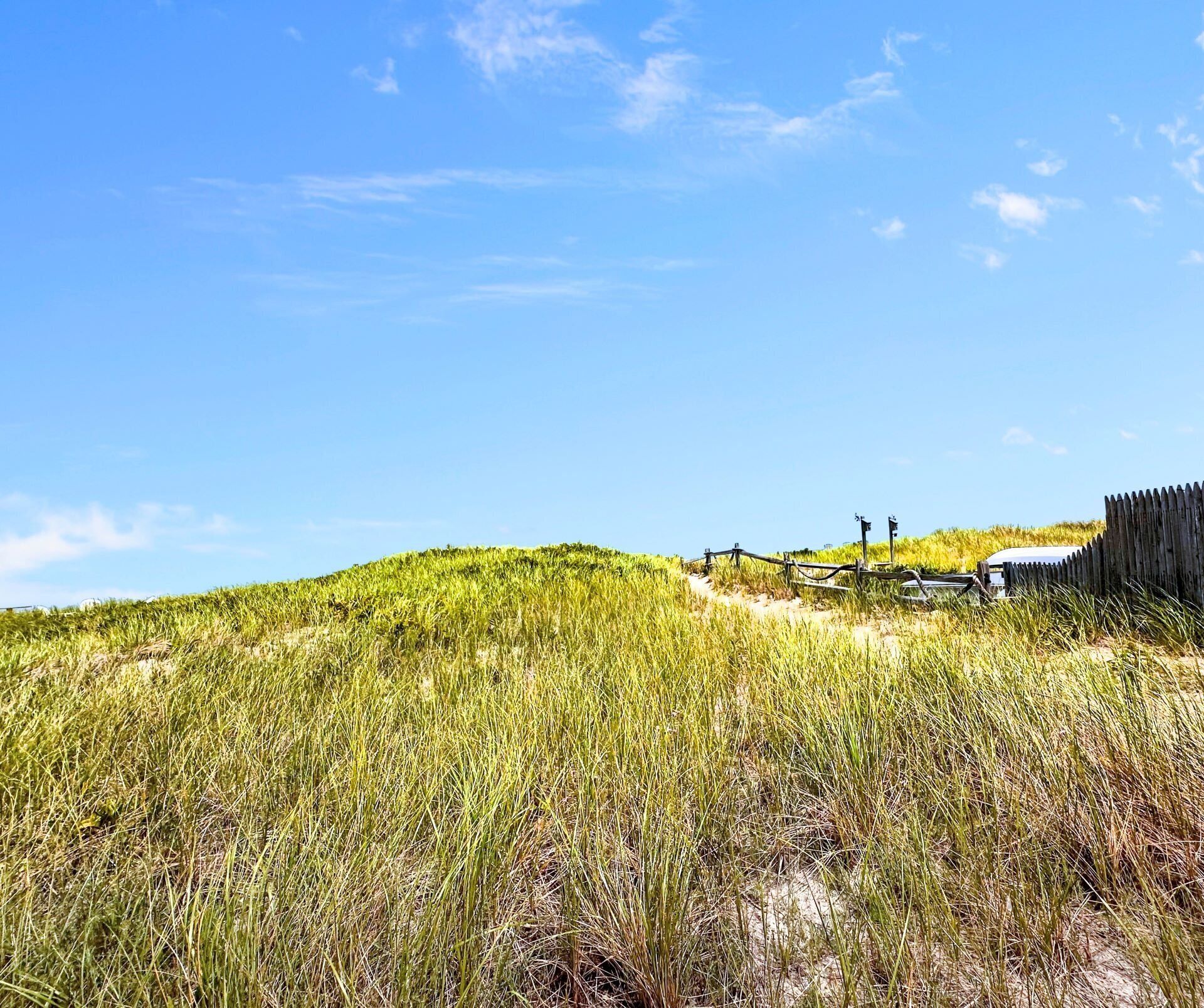 Oceanfront beach cottage nestled in the dunes of East Sandwich beach