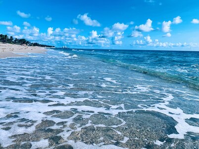 🏝_Palm Beach Island Condo-Hotel•King•One Bedroom•Close to Beach_🏖