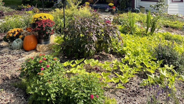 A two-story house with a prominent tower-like structure, a porch with a covered entryway, and a well-maintained garden with various plants and flowers. - Victorian home brought back to life on the Shawnee Hills wine trail. (Cobden)