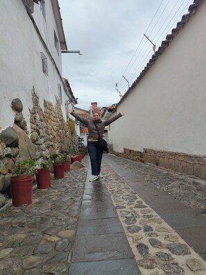 Una estrecha calle empedrada con muros de piedra y plantas en macetas.