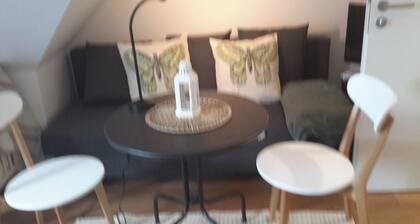 BEACH 50m, sehr ruhig, 100m Lidl, Netto, minicolf, 200 forest, 500m Steam train