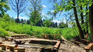 Un espace extérieur rustique avec un foyer en pierre, des bancs en bois et un paysage naturel.