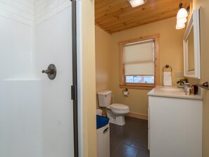 Combined shower/tub, hair dryer