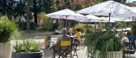 テラス / パティオ