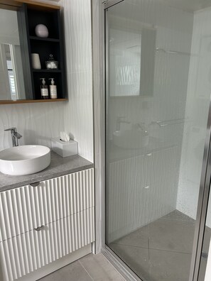 Shower, hair dryer, towels, soap