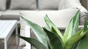 Ein Topf mit Aloe Vera auf einer weißen Outdoor-Sofa mit Kissen.