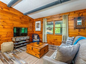 Smart TV, chimenea y libros 