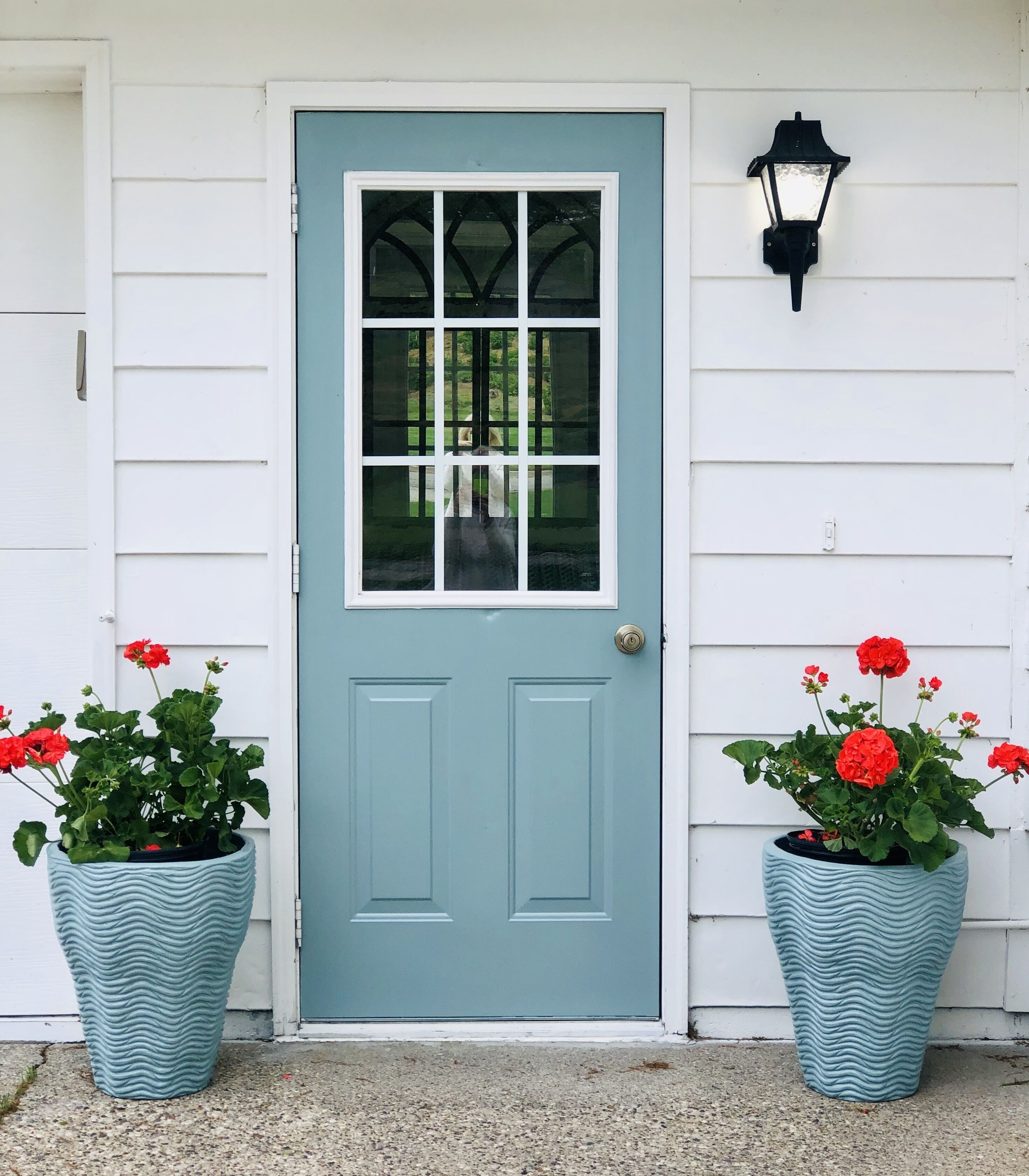 A light blue door with a window, flanked by two large potted plants with red flowers, and a black wall-mounted light fixture above.