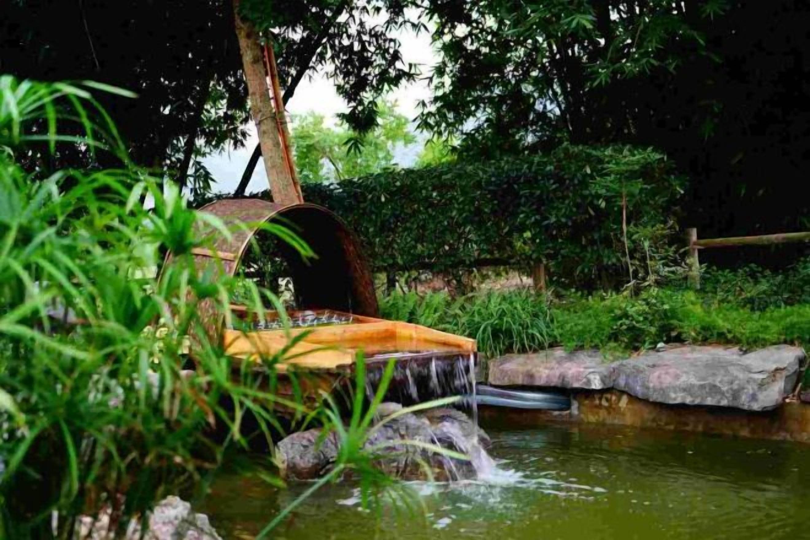 A tranquil garden with a water feature, including a pond, a small waterfall, and a rustic wooden bridge.