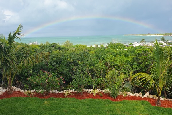 Separate and private garden