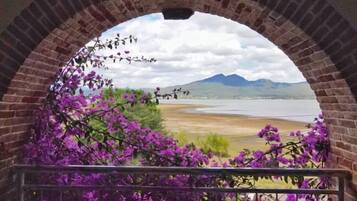 Vista da propriedade