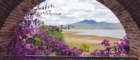 Vista desde la propiedad