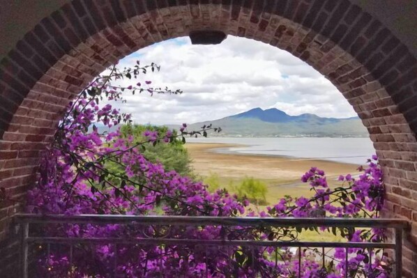 Vista da propriedade