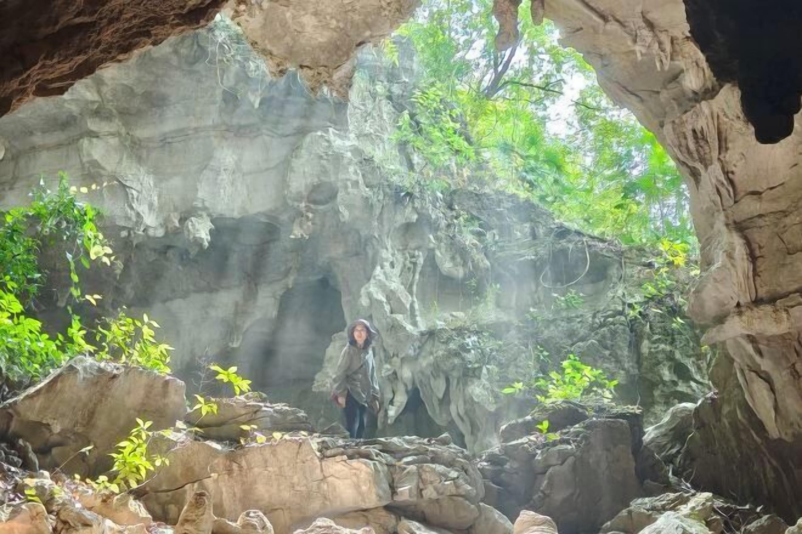 A cave with natural rock formations and greenery.