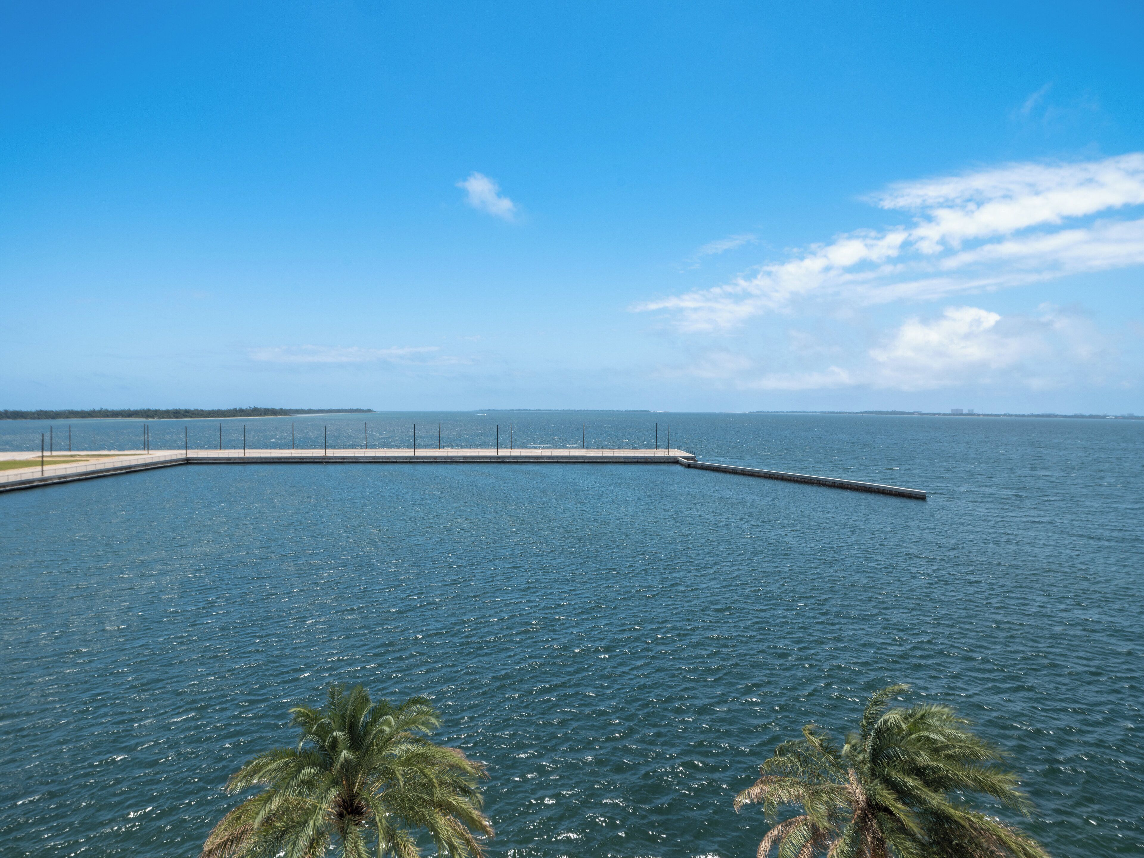 A waterfront view with a concrete dock extending into the water, palm trees in the foreground, and a clear sky.