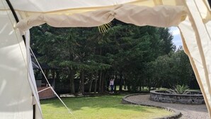 Ein Zelt mit Blick auf einen angelegten Garten, inklusive eines Pflasterwegs und Bäumen.