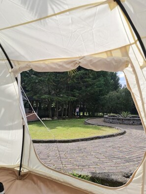 Jardines del alojamiento