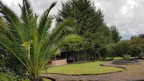 Ein gepflegter Garten mit einer Palme, einer kleinen Laube und einem Kiesweg.