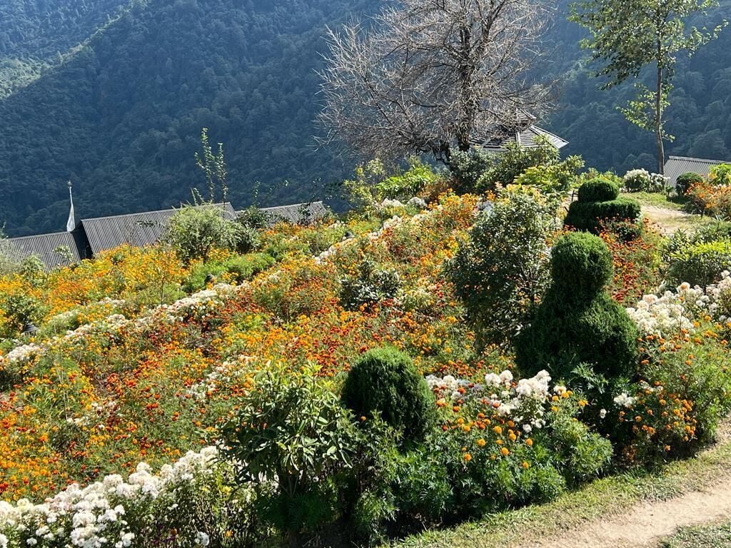 Een tuin met diverse planten en bloemen, een pad en een gebouw met een traditioneel dak op de achtergrond.