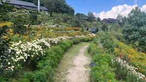 Un sendero en un jardín rodeado de plantas y follaje florecientes, que conduce a un edificio con tejado oscuro.