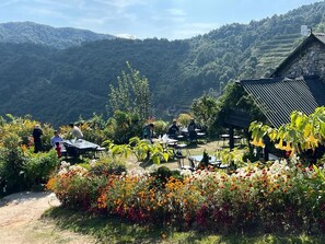 Property grounds - Prakriti Resort and Organic Farm (Haibung)