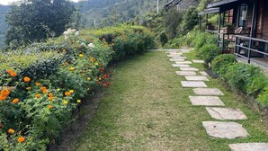 Un sendero en un jardín que lleva a una construcción rústica con techo de piedra, rodeada de exuberante vegetación y plantas florecientes.