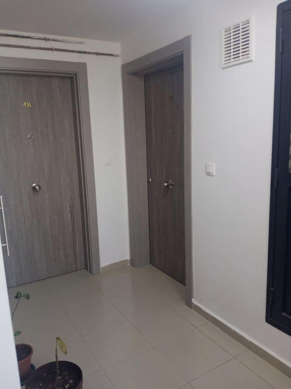 A hallway with two doors, a potted plant, and a window with a vent.