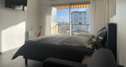 Completely renovated studio in Port Haliguen