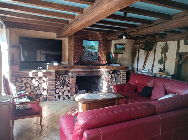 スマートテレビ、暖炉、DVD プレーヤー、書庫